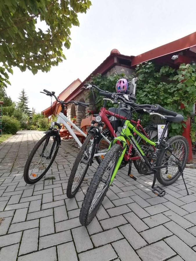 Fertőrákos Szentesi Panzio Bed & Breakfast エクステリア 写真