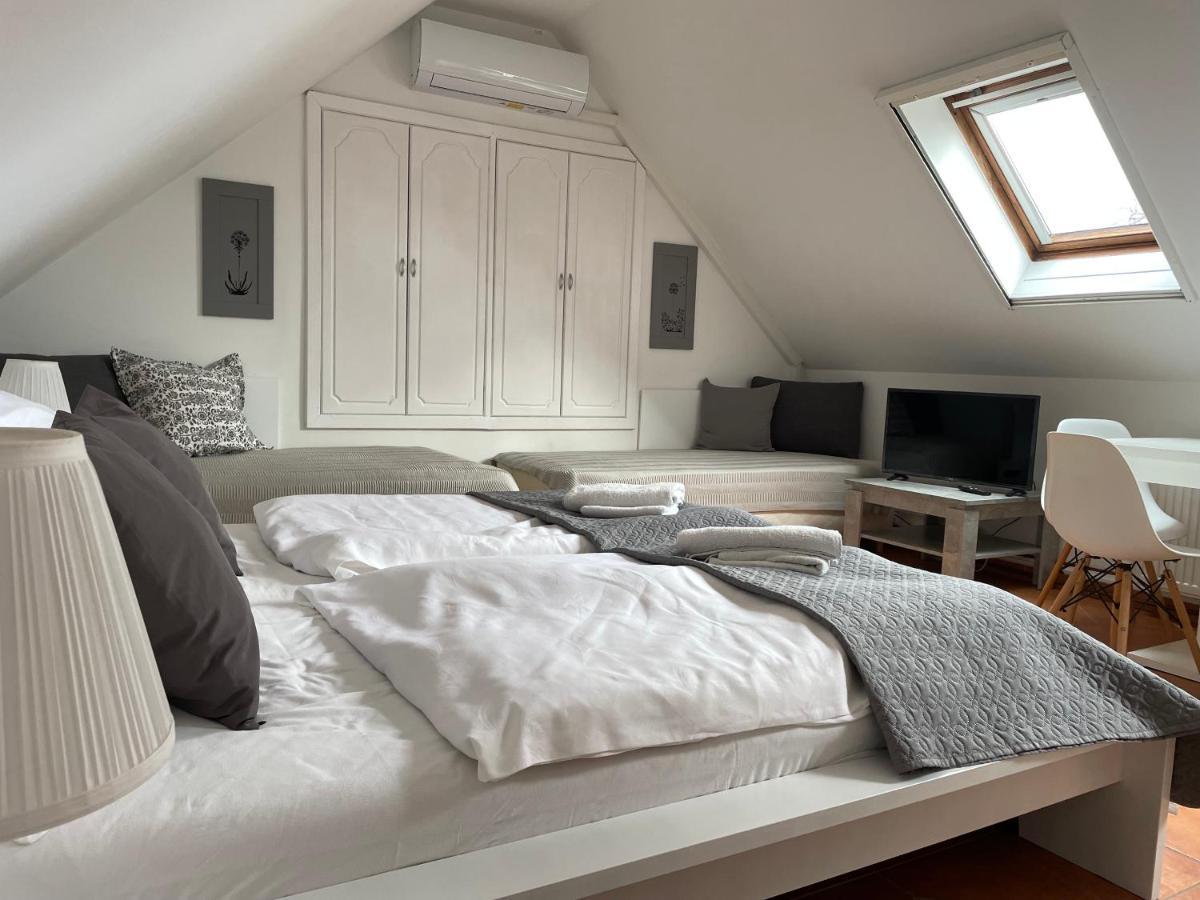 Fertőrákos Szentesi Panzio Bed & Breakfast エクステリア 写真