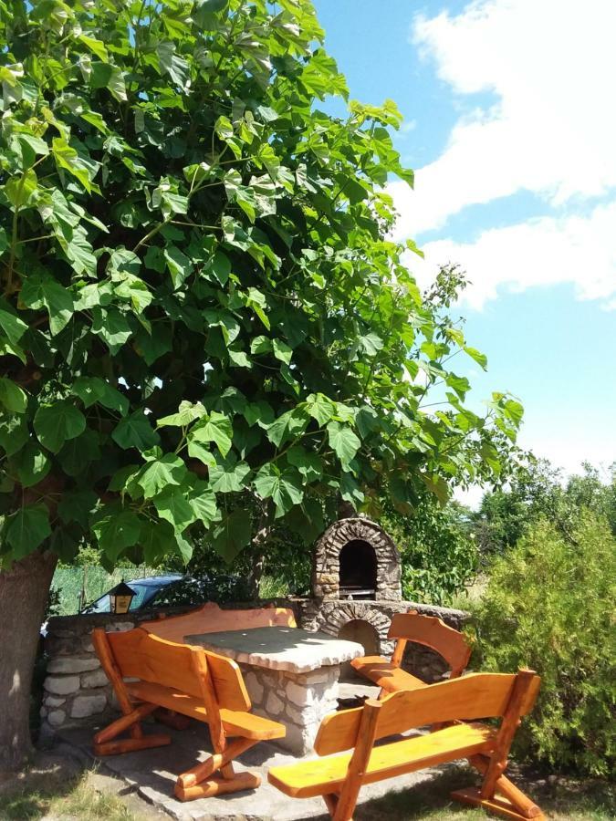 Fertőrákos Szentesi Panzio Bed & Breakfast エクステリア 写真