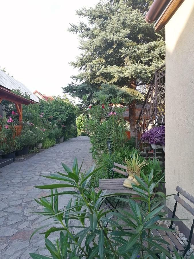 Fertőrákos Szentesi Panzio Bed & Breakfast エクステリア 写真