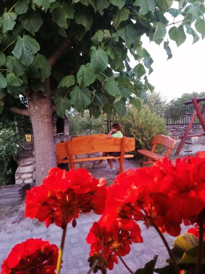 Fertőrákos Szentesi Panzio Bed & Breakfast エクステリア 写真