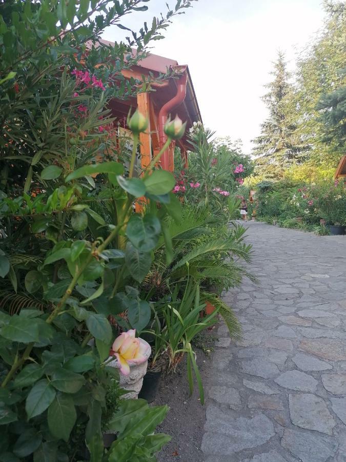 Fertőrákos Szentesi Panzio Bed & Breakfast エクステリア 写真