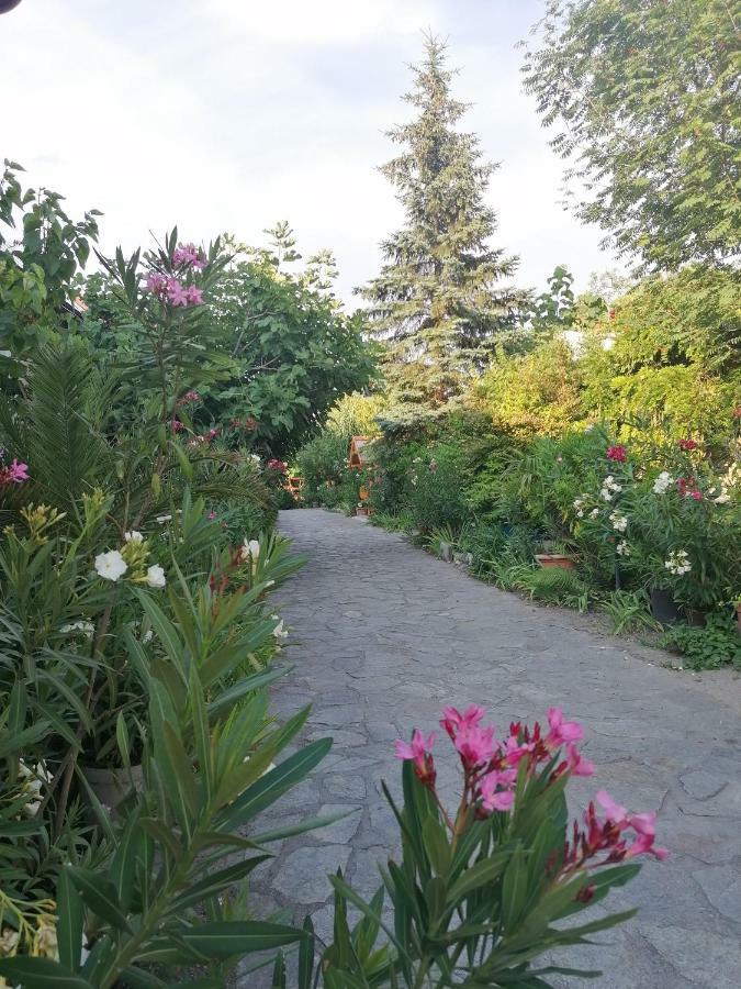 Fertőrákos Szentesi Panzio Bed & Breakfast エクステリア 写真